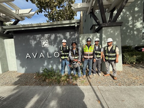 Resolution Gutter crew at the Avalon community entrance sign